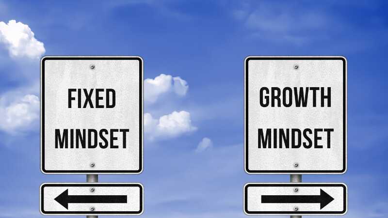 Les deux types de mindset