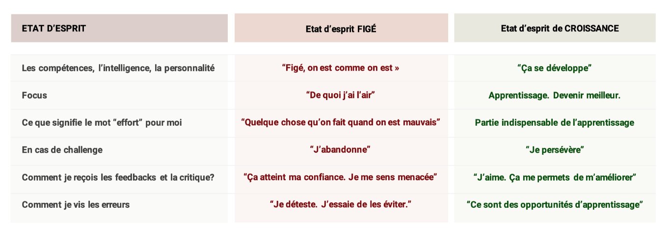 Les différents types de mindset
